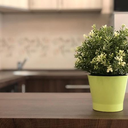Exclusive Home - D. Apartman Pécs Zewnętrze zdjęcie