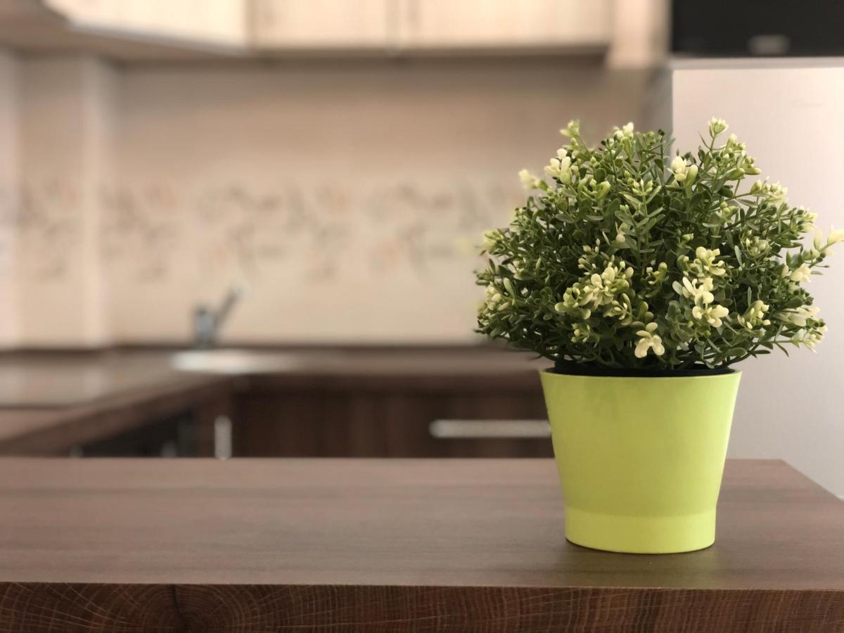 Exclusive Home - D. Apartman Pécs Zewnętrze zdjęcie